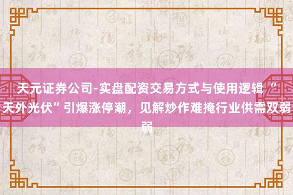 天元证券公司-实盘配资交易方式与使用逻辑 “天外光伏”引爆涨停潮，见解炒作难掩行业供需双弱