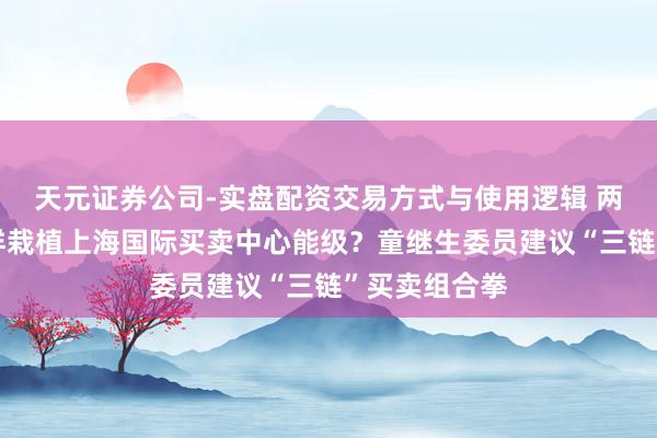 天元证券公司-实盘配资交易方式与使用逻辑 两会对话｜怎样栽植上海国际买卖中心能级？童继生委员建议“三链”买卖组合拳