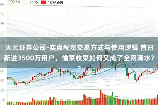 天元证券公司-实盘配资交易方式与使用逻辑 首日新进3500万用户，偷菜收菜如何又成了全网潮水？