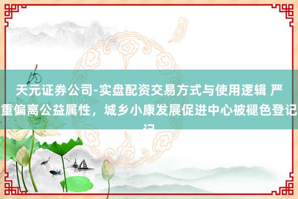天元证券公司-实盘配资交易方式与使用逻辑 严重偏离公益属性，城乡小康发展促进中心被褪色登记